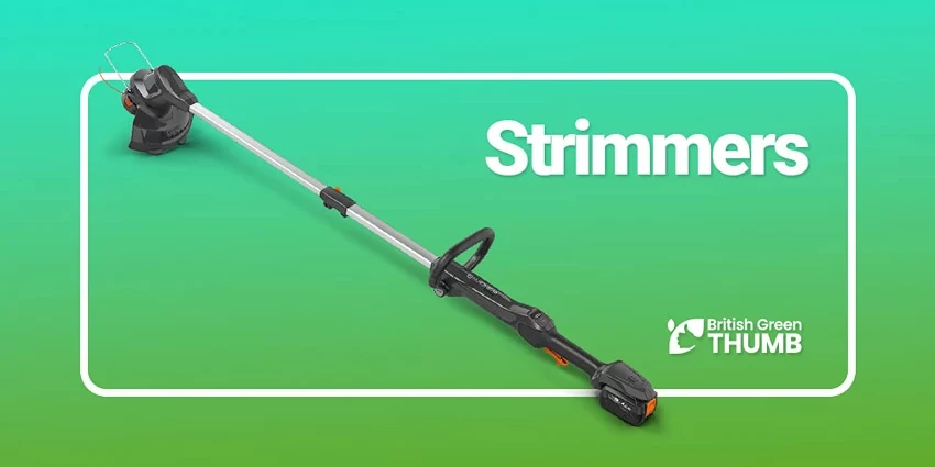Best Strimmers