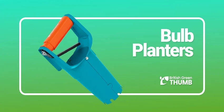 Best Bulb Planters