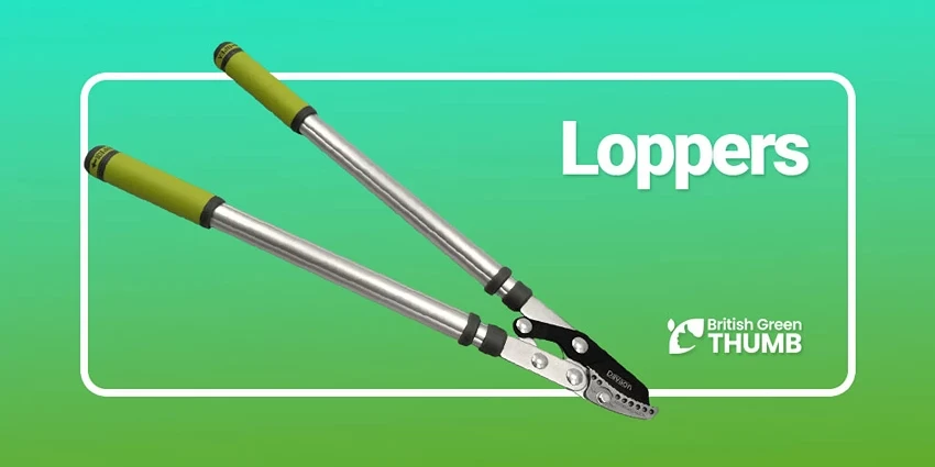 Best Loppers