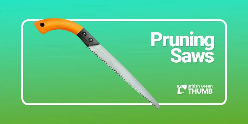 Best Pruning Saws