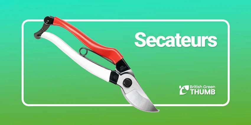 Best Secateurs