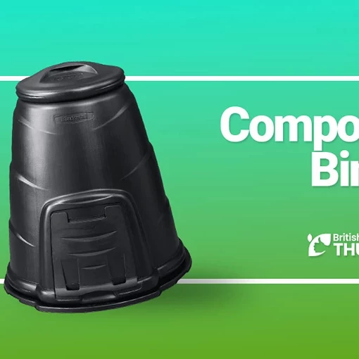 Best Compost Bins