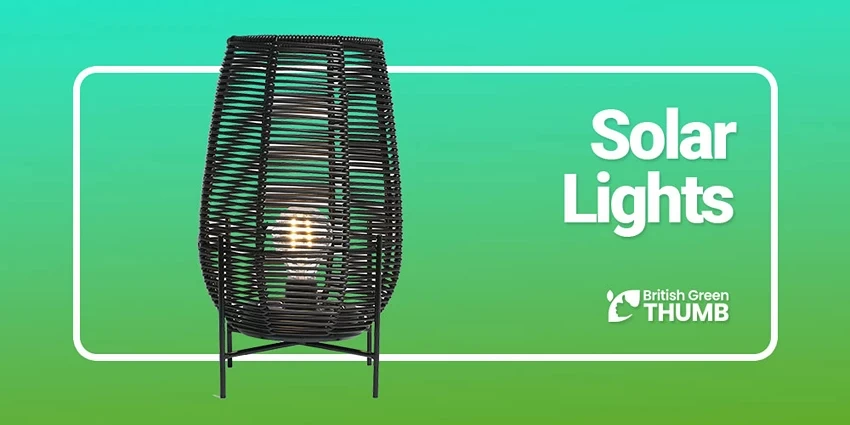 Best Solar Lights