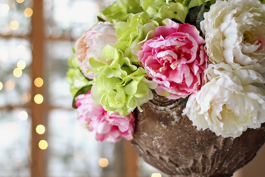 Cultivating Peonies: Tips and Tricks