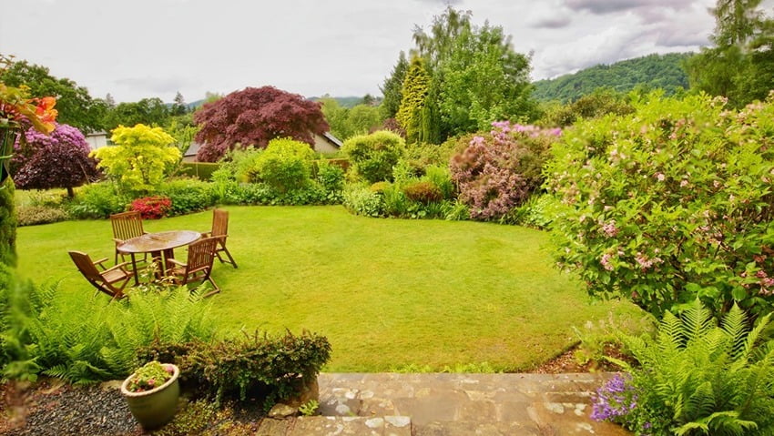 Popular Grass Lawn Alternatives
