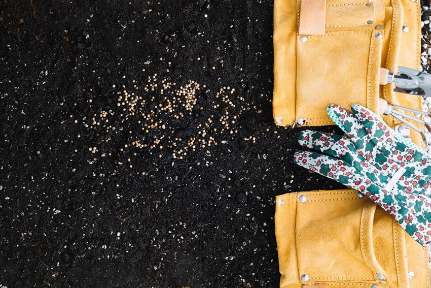 Lawn Maintenance Post-Seeding