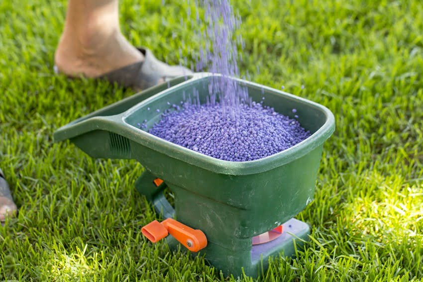 Understanding the Best Time to Seed Your Lawn