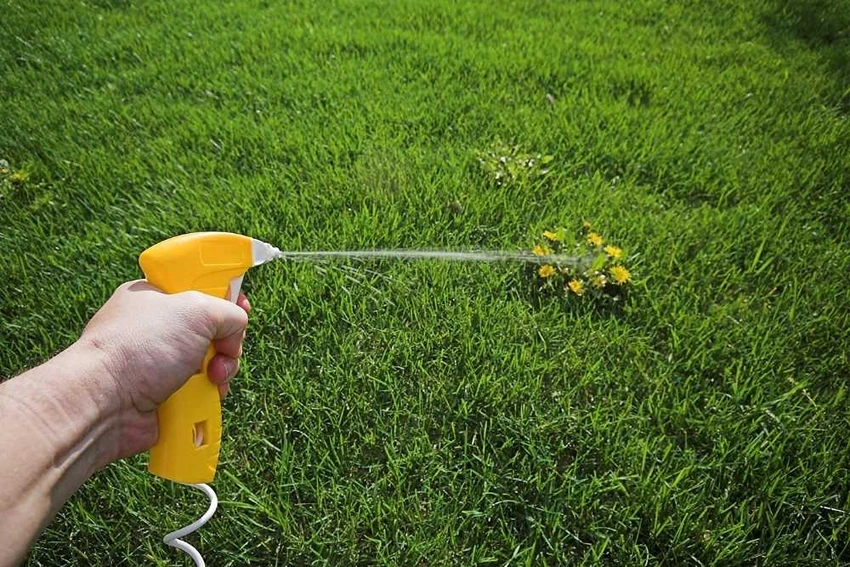Biological Weed Control Methods