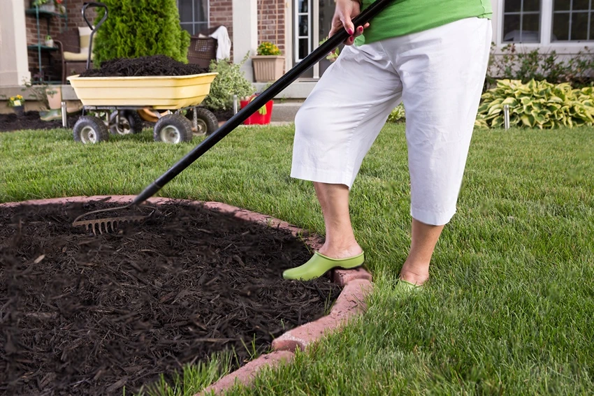 Eco-Friendly Weed Prevention Techniques