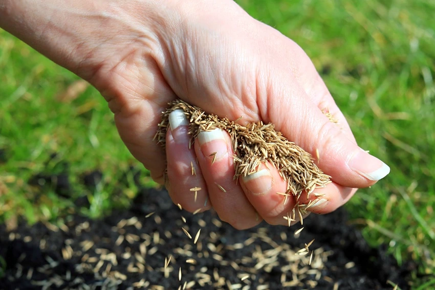 Soil Health and Hand Weeding