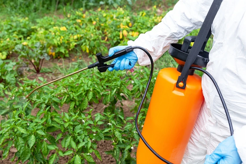 Benefits of Integrated Weed Management