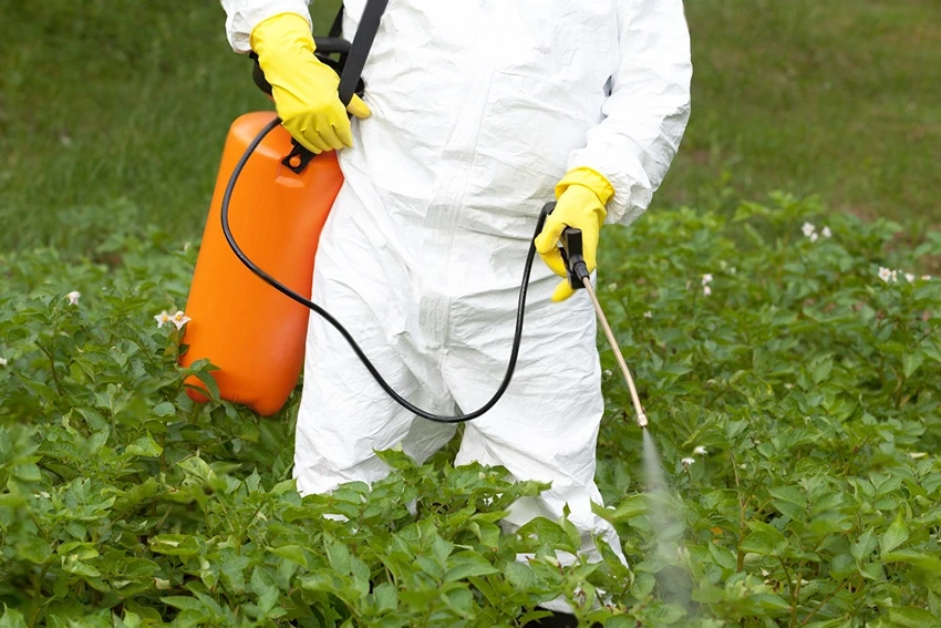 Implementing Integrated Weed Management: A Step-by-Step Guide