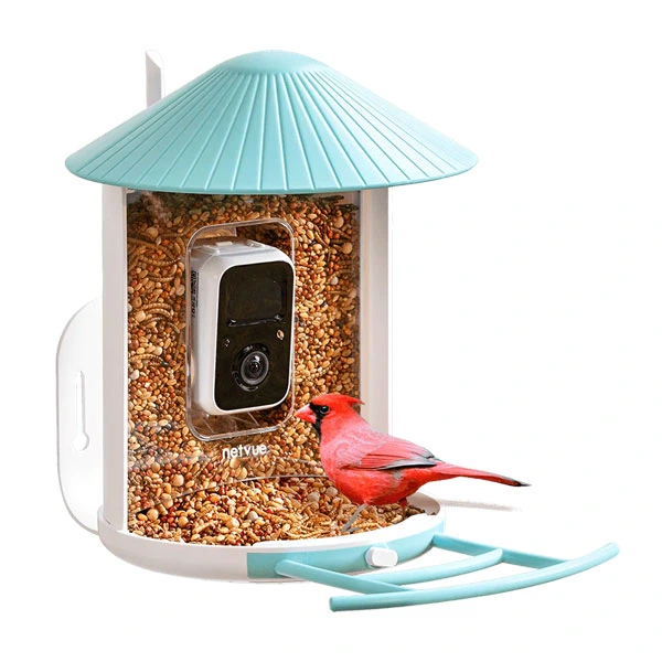 Netvue Birdfy Smart Bird Feeder Camera