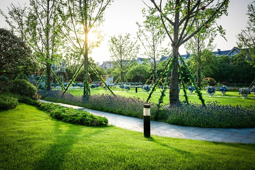 Lawn Edging Ideas