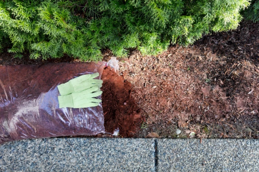Common Mistakes to Avoid in Mulching