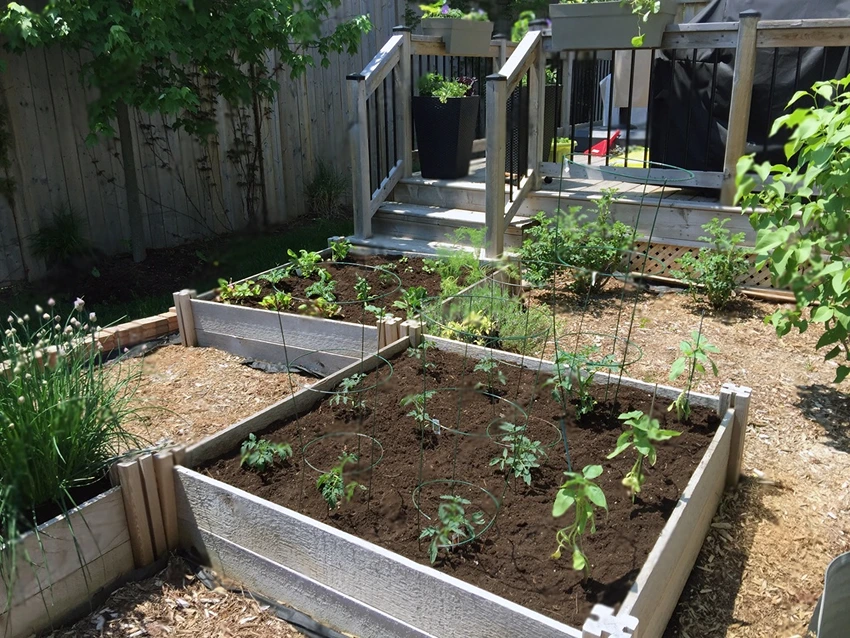 How to Apply Mulch for Effective Weed Control