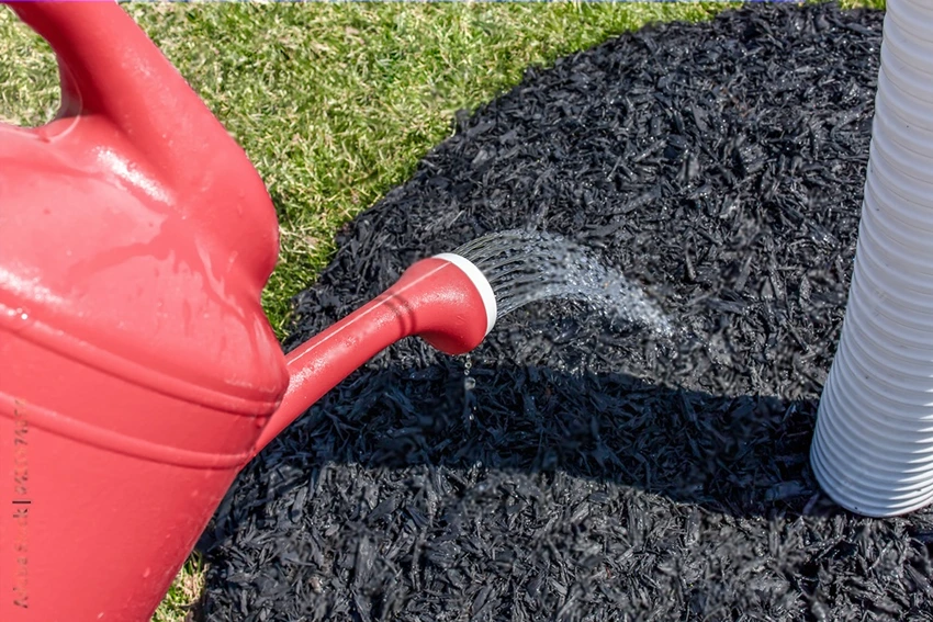 Environmental Impact of Mulching