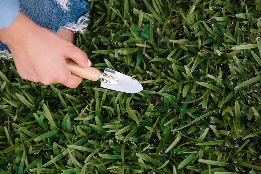 Introduction to Lawn Reseeding