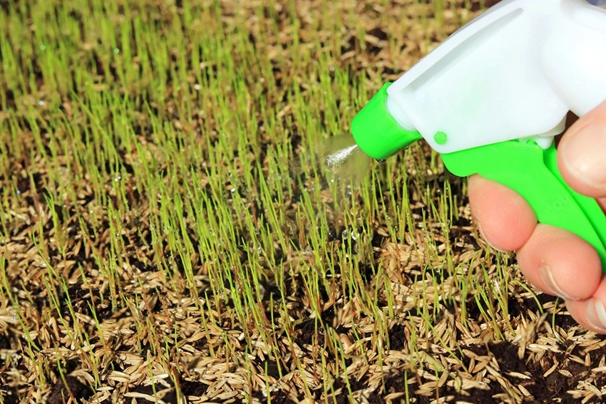 Advanced Selective Weed Control Strategies