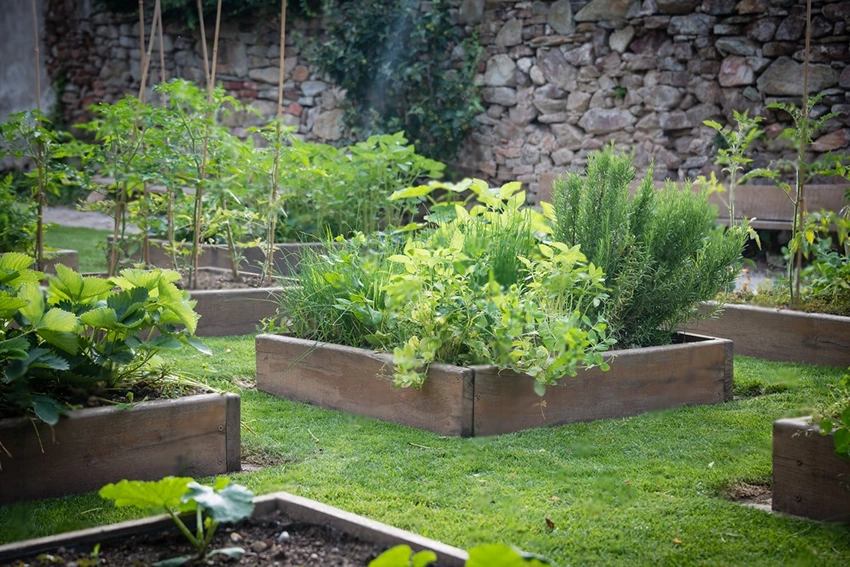 Innovative Weed Barrier Solutions