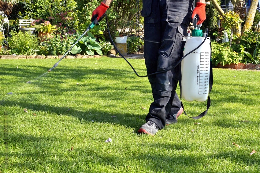 Chemical Weed Control Strategies