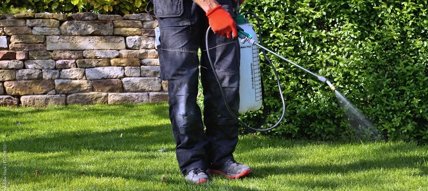 Non-Chemical Weed Control Methods