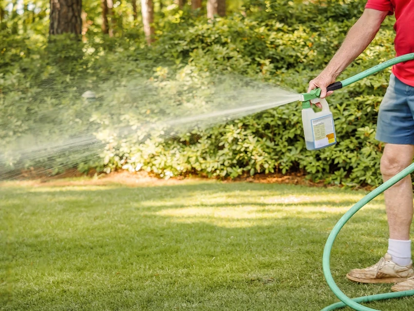 Understanding Weed Control in Lawns
