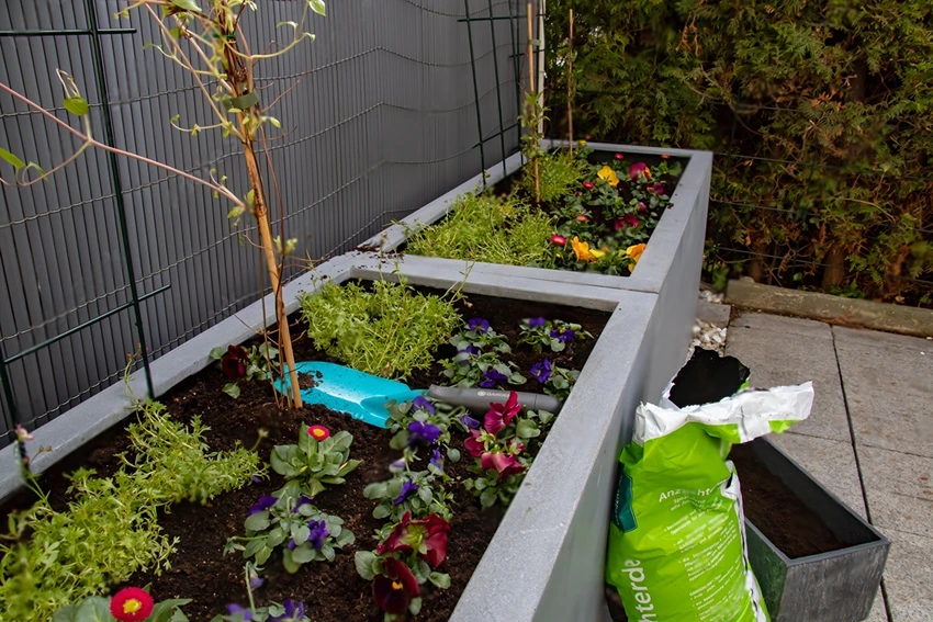 Preventative Measures for Weed Control