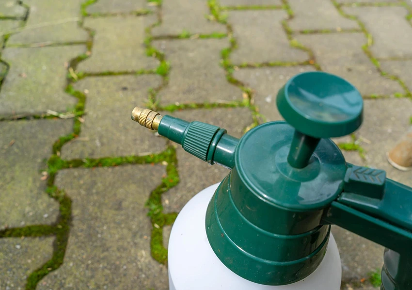 Natural and Eco-Friendly Weed Control Options