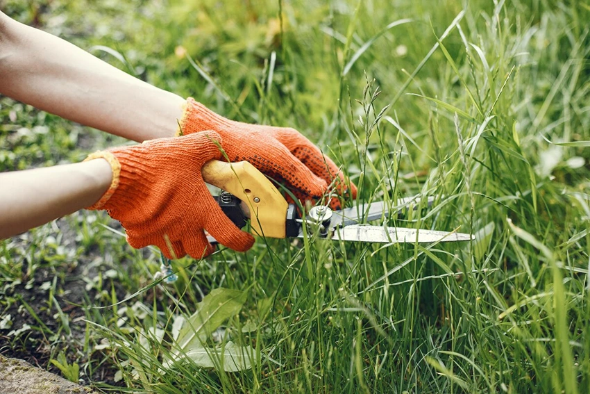 Non-Chemical Weed Control Methods