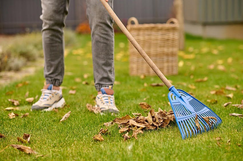 Advanced Lawn Feeding Techniques