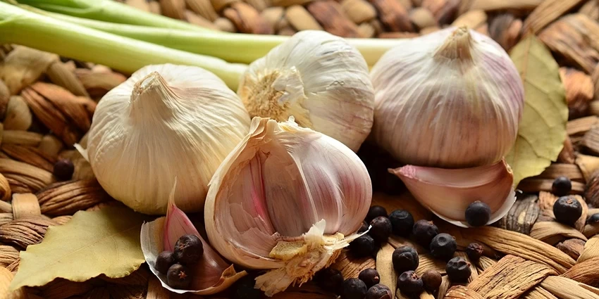 Unveiling the Wonders of Garlic: A Deep Dive into Allium Sativum