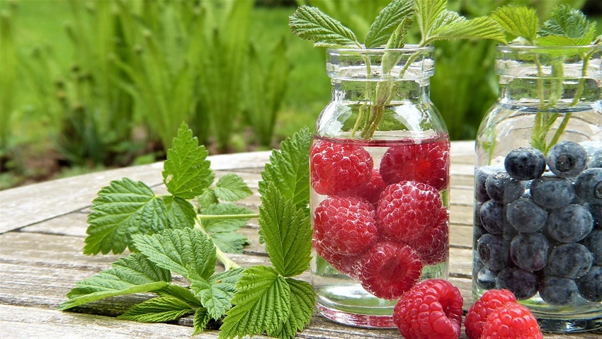 Rubus idaeus
