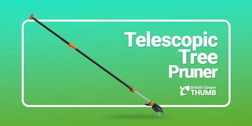 Best Telescopic Tree Pruners