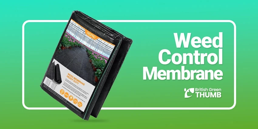 Best Weed Control Membranes