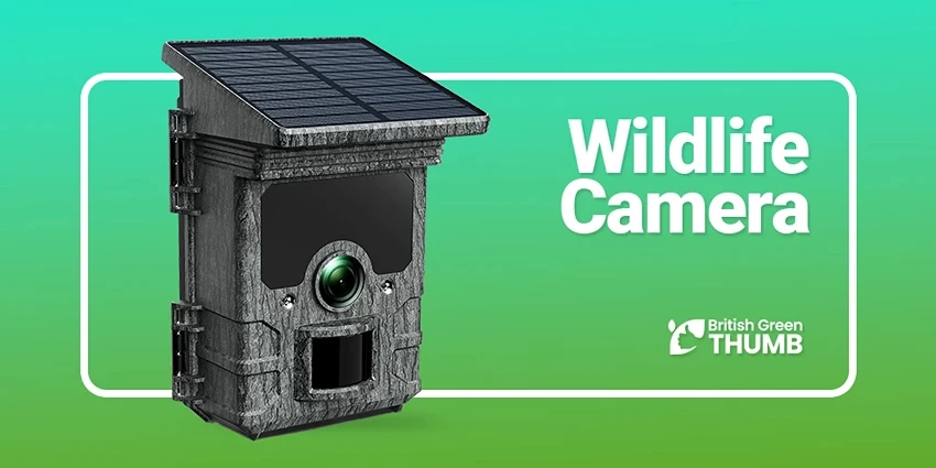 Best Wildlife Cameras