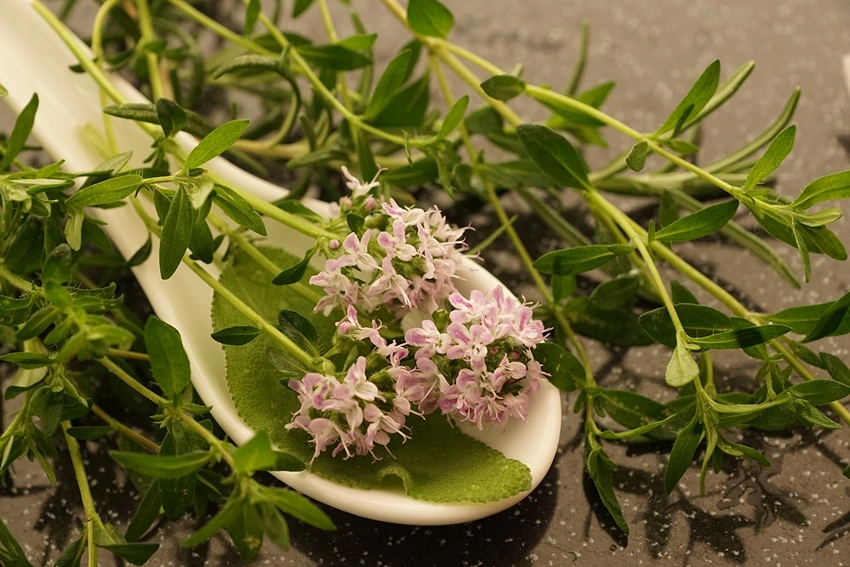 Culinary Uses of Thyme