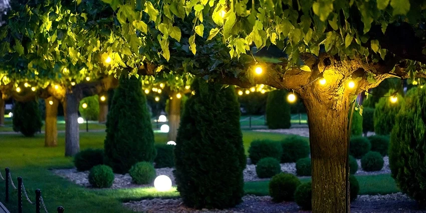 Decorative Garden Lights