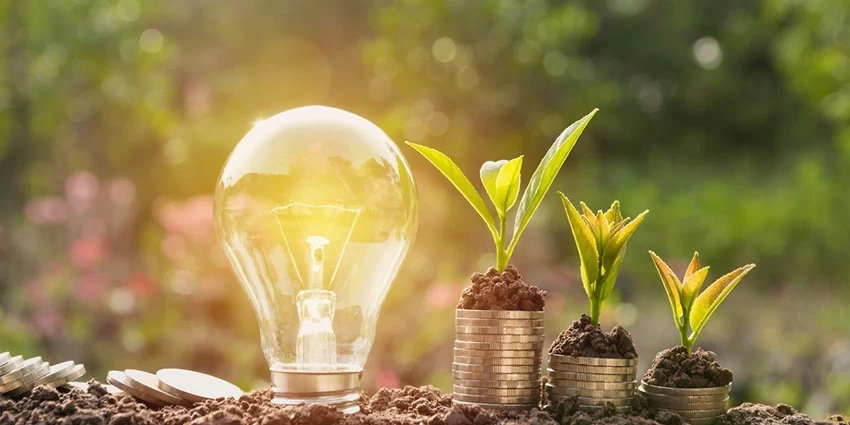 Energy Efficient Lights