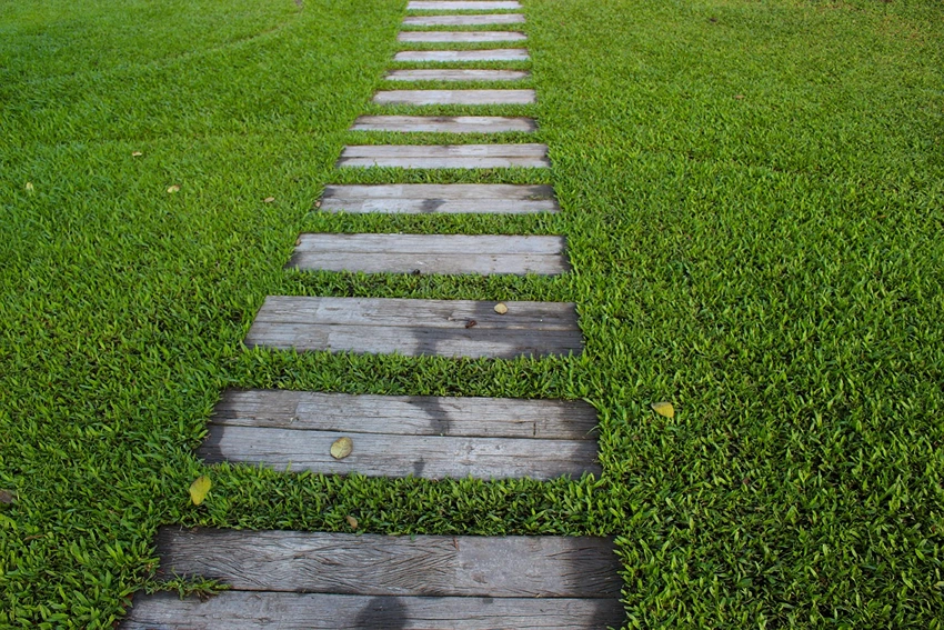 How to Grow Grasses for Borders