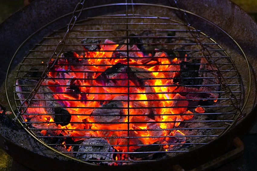 Grilling Techniques