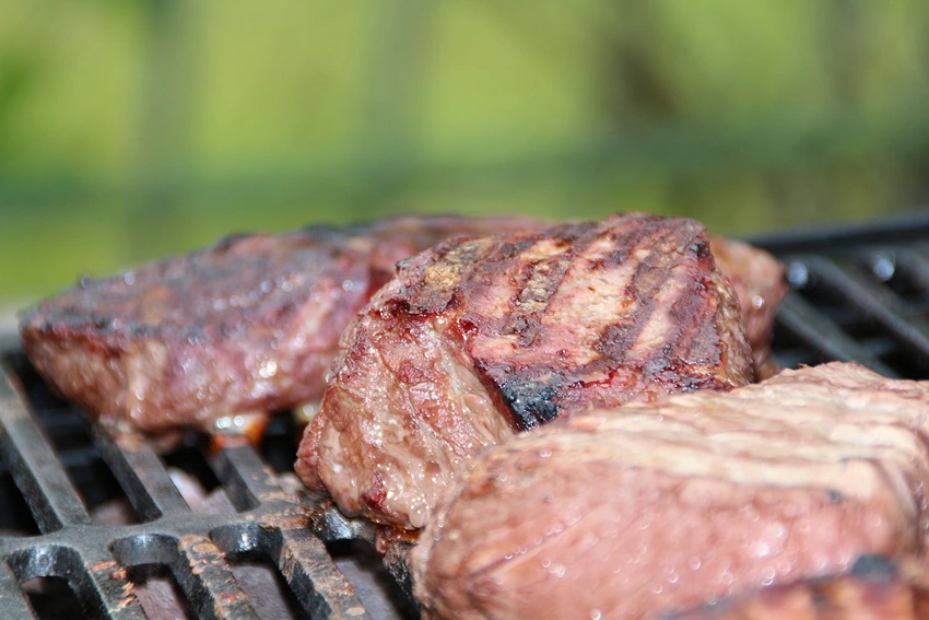 Advanced Gas Grill Features